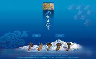 凯云科工贸与奥远科技 以技术驱动，赋能昆明与云南的数字化转型